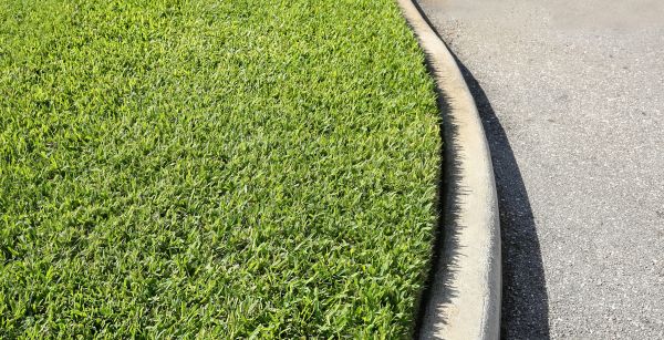 Driveway Curb Repair in Aurora